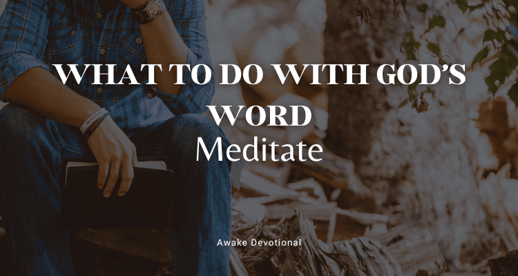 WHAT TO DO WITH GOD'S WORD: Meditate